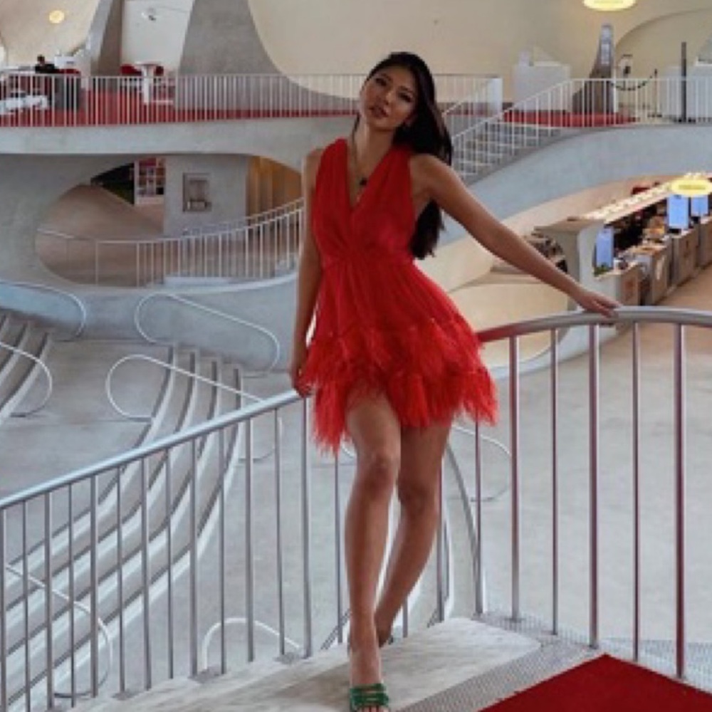 Dana Foley Red Feather Dress